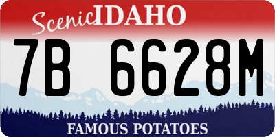 ID license plate 7B6628M