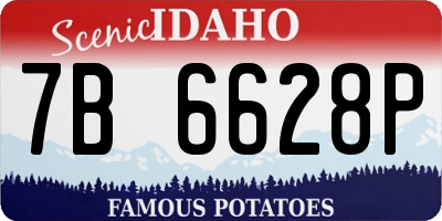 ID license plate 7B6628P