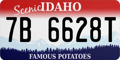 ID license plate 7B6628T