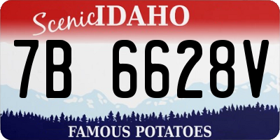 ID license plate 7B6628V