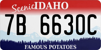 ID license plate 7B6630C