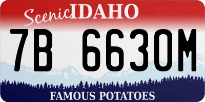 ID license plate 7B6630M