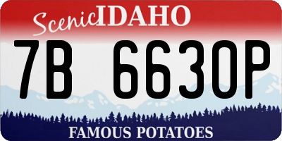 ID license plate 7B6630P