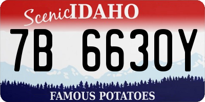 ID license plate 7B6630Y