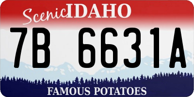 ID license plate 7B6631A