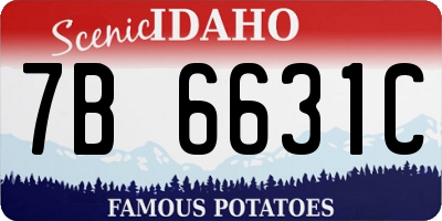 ID license plate 7B6631C
