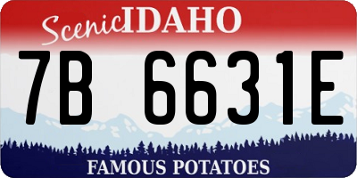 ID license plate 7B6631E