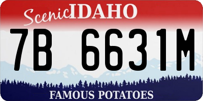 ID license plate 7B6631M