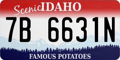 ID license plate 7B6631N