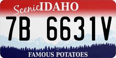 ID license plate 7B6631V