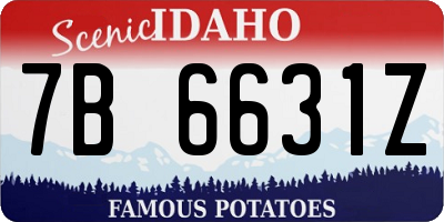 ID license plate 7B6631Z
