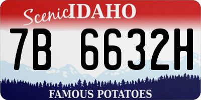 ID license plate 7B6632H