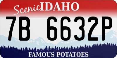 ID license plate 7B6632P