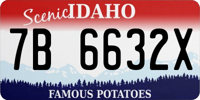 ID license plate 7B6632X