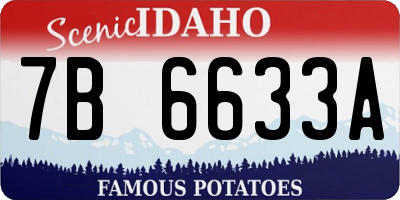 ID license plate 7B6633A