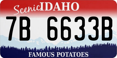 ID license plate 7B6633B