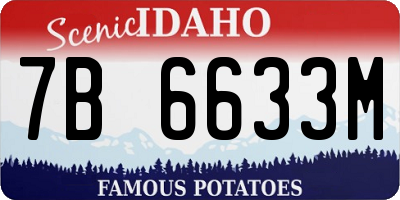 ID license plate 7B6633M