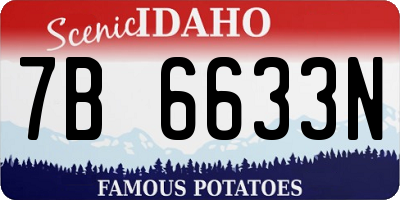 ID license plate 7B6633N