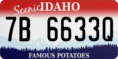 ID license plate 7B6633Q