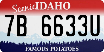 ID license plate 7B6633U