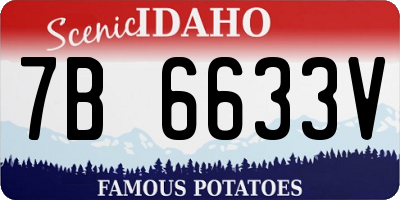 ID license plate 7B6633V