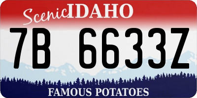 ID license plate 7B6633Z