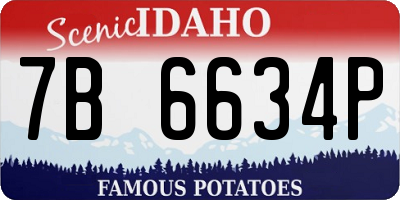 ID license plate 7B6634P