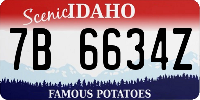 ID license plate 7B6634Z