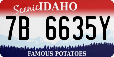 ID license plate 7B6635Y