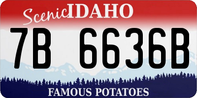 ID license plate 7B6636B