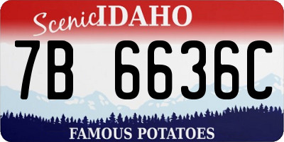 ID license plate 7B6636C
