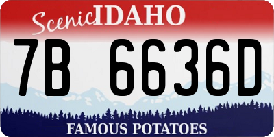 ID license plate 7B6636D