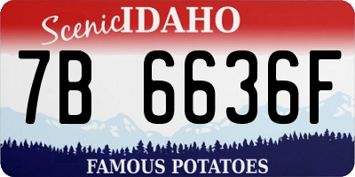 ID license plate 7B6636F