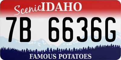 ID license plate 7B6636G