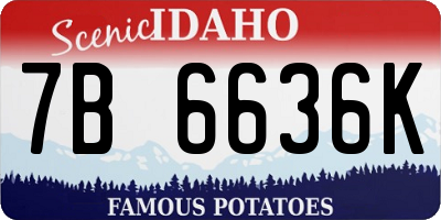 ID license plate 7B6636K