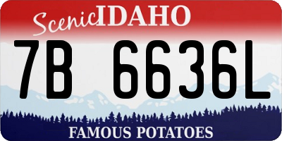 ID license plate 7B6636L