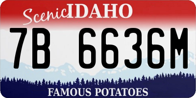 ID license plate 7B6636M