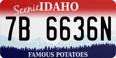 ID license plate 7B6636N