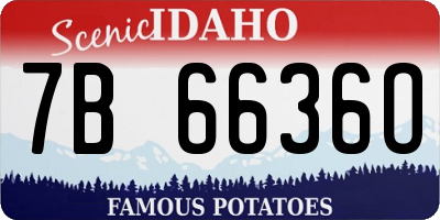 ID license plate 7B6636O