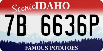 ID license plate 7B6636P