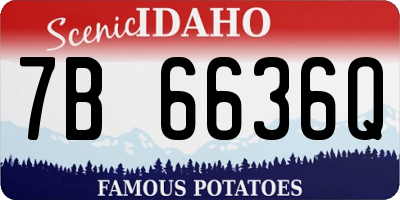 ID license plate 7B6636Q
