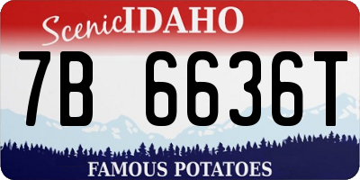 ID license plate 7B6636T