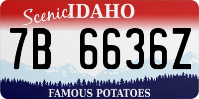 ID license plate 7B6636Z