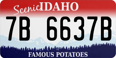 ID license plate 7B6637B