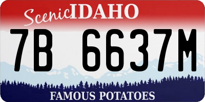 ID license plate 7B6637M
