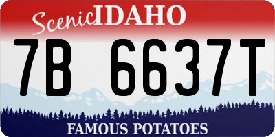 ID license plate 7B6637T