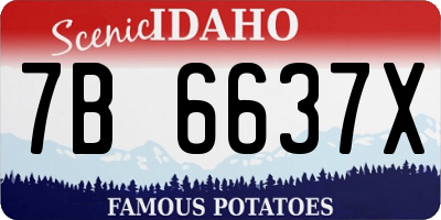 ID license plate 7B6637X