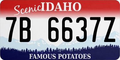 ID license plate 7B6637Z