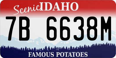 ID license plate 7B6638M