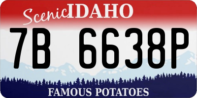 ID license plate 7B6638P